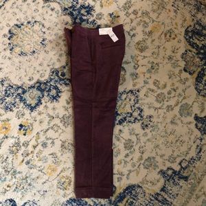 ANN TAYLOR velvet ankle pants NWT